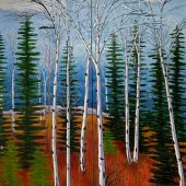 High white Birches and Dark Evergreens - SOLD